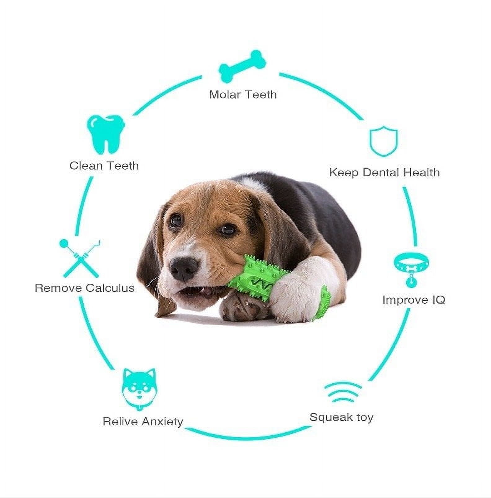 Dog Toothbrush Chew Toy Durable, and Perfect for Aggressive Chewers.