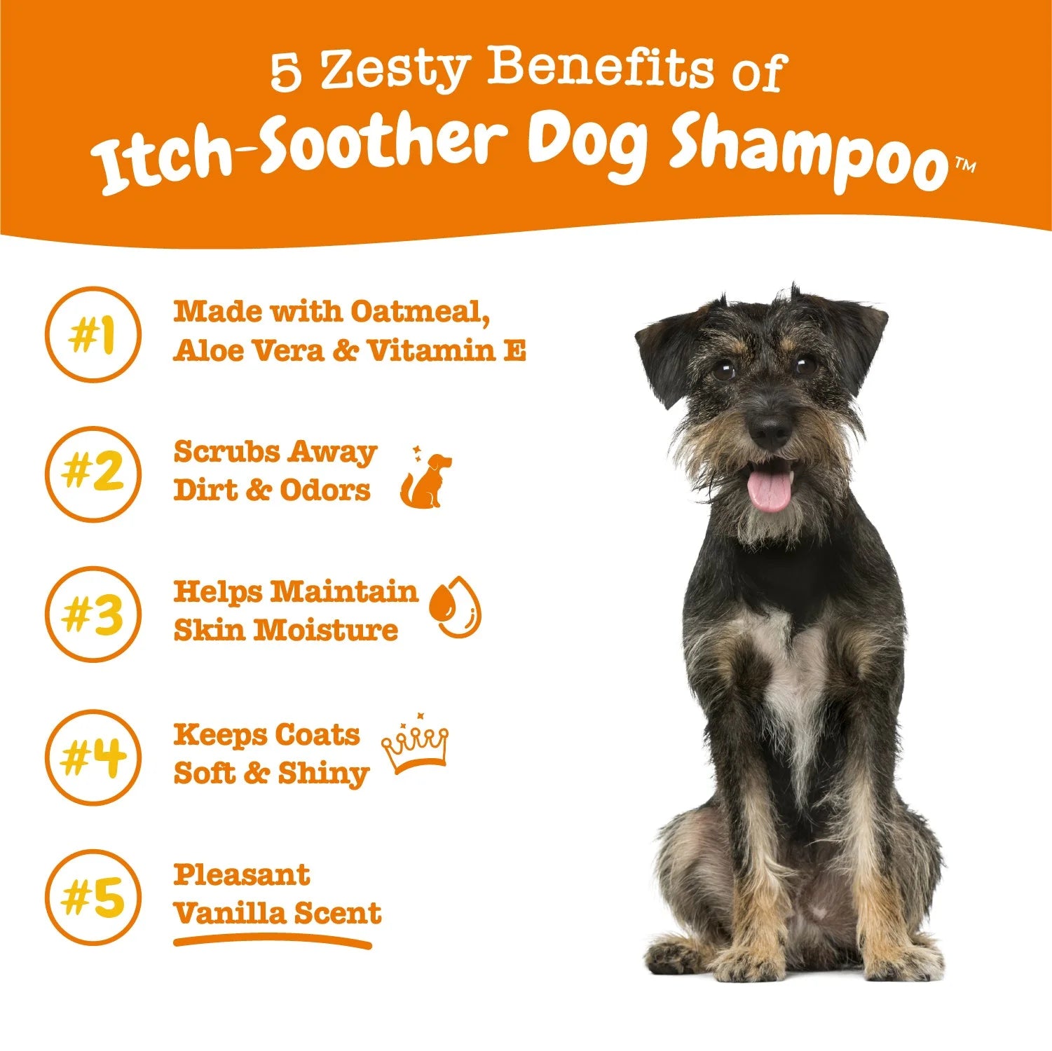 Itch-Soother Shampoo for Dogs 16Oz