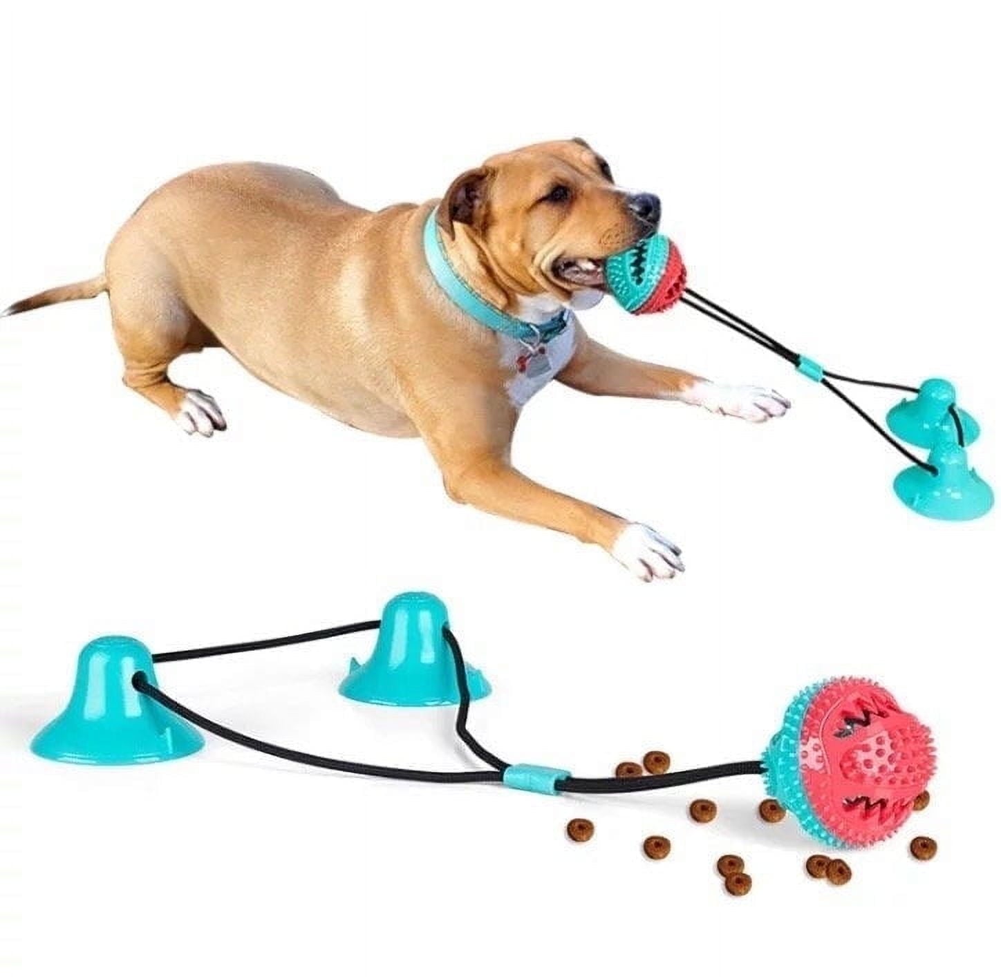Dog Toothbrush Chew Toy Durable, and Perfect for Aggressive Chewers.