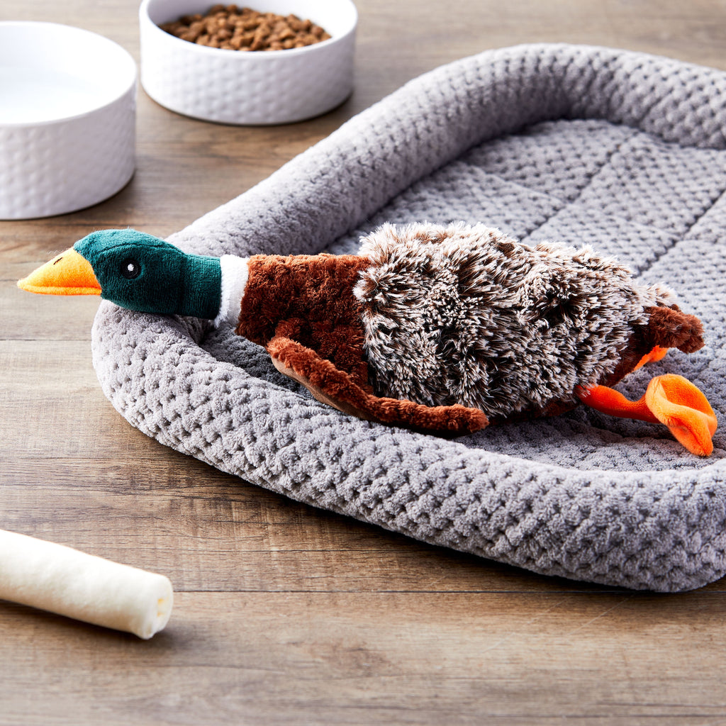 Plush Duck Dog Toy with Honker