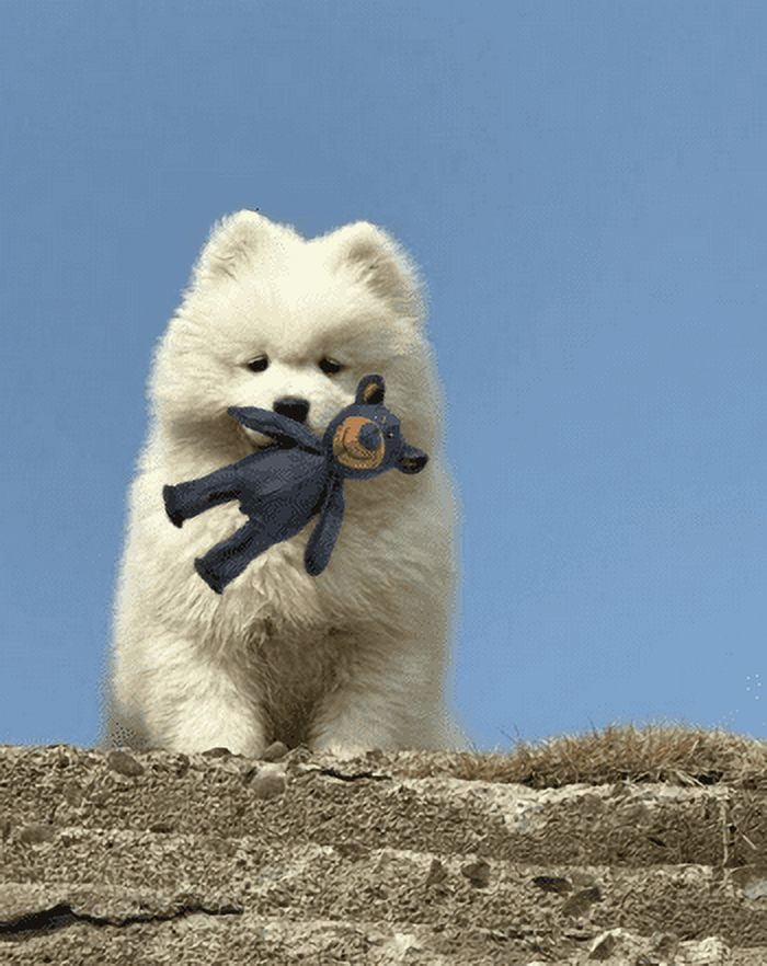 Unbreaka Bear - 2025 New Unbreakable Bear Dog Toy - Indestructible Plush Bear for Heavy Chewers, Durable Squeaky Dog Toy for Aggressive Chewers, Interactive & Robust Stuffed Toy for Large Dogs